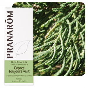 Huile essentielle de Cyprès toujours vert - 10ml