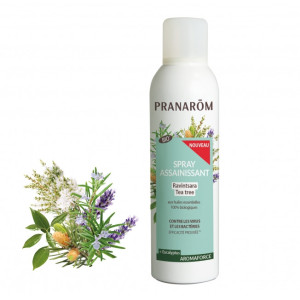 Pranarom Aromaforce Spray Assainissant Ravintsara Tea-Tree Bio - 150ml
