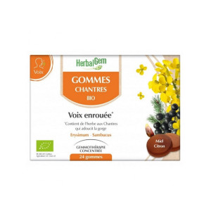 Herbalgem Gommes des Chantres Bio - 24 gommes