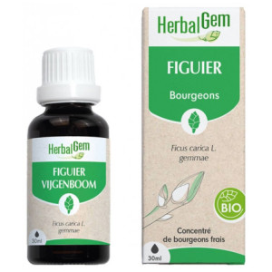HerbalGem Figuier Bio - 30 ml